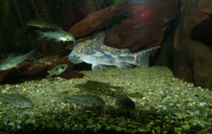 Detailansicht des Projektbeckens im Zoo Leipzig Zoo Leipzig Mata Atlantica